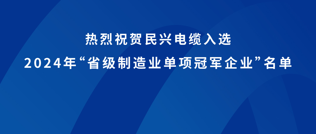 亚洲必赢荣获广东省制造业单项冠军！